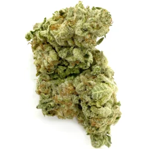 buy LEMON TART – SATIVA