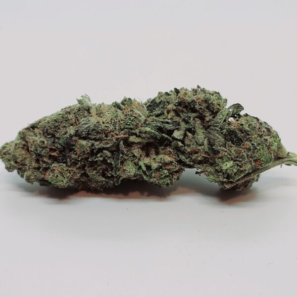 Pine Tar *Indica* - Image 2