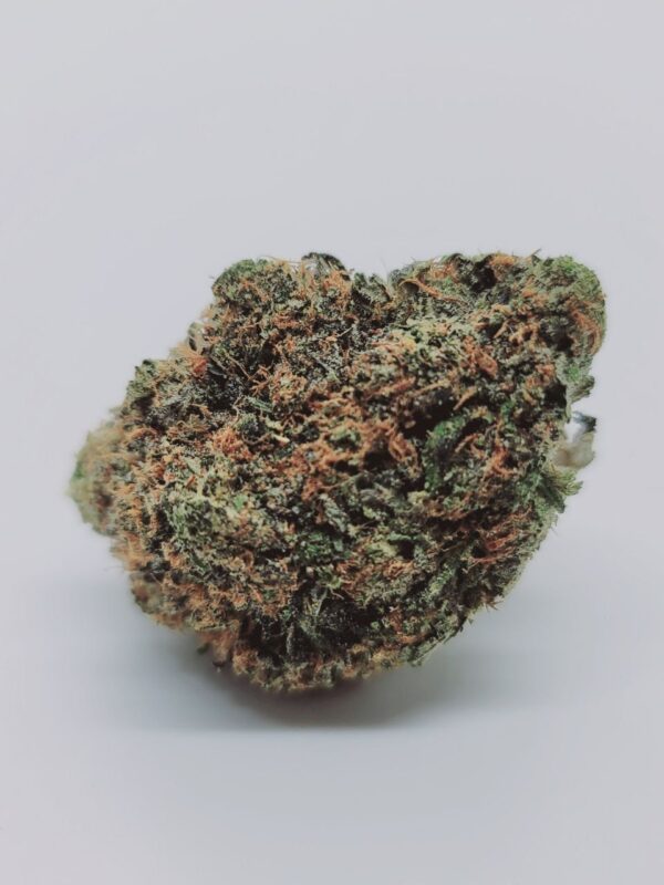 Pink AC/DC *indica*