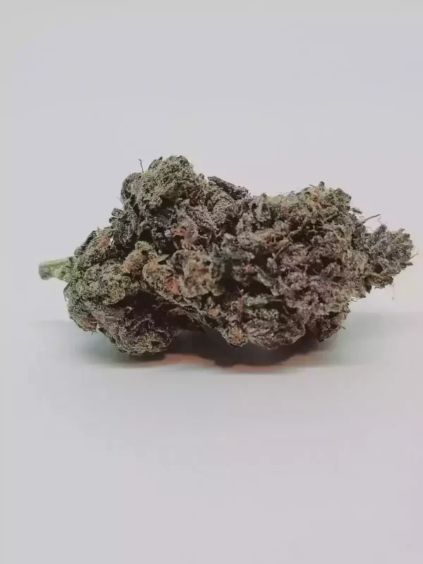 Pink Paris *Indica* - Image 3