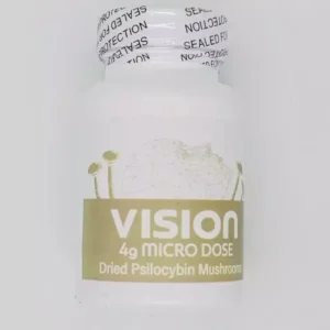 buy Vision 4mg Microdosing Tablets