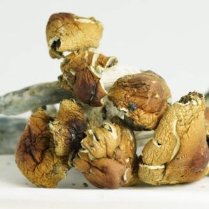 28 Grams Dr.Baked: Malbec Mushrooms