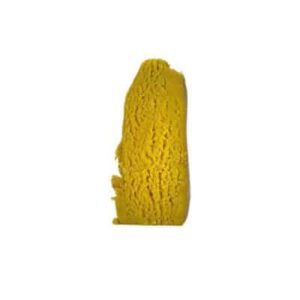 GMO COOKIES (BUDDER) – BALANCED HYBRID – (AAA)