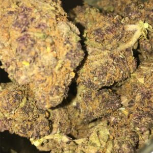 28 Grams Dr.Baked Budget Deal: Grand Daddy Purple