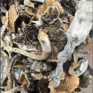 28 Grams Dr.Baked Mushroom Deal: Effigen Explosion