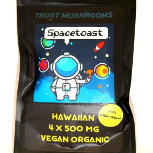 Exclusive SpaceToast Hawaiian Nanaimo Bars: 4x500mg Organic Vegan