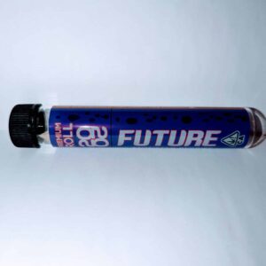Future 2020: Moon Rock Joint (Original)