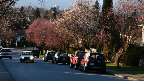 buy Buy Cannabis Burnaby