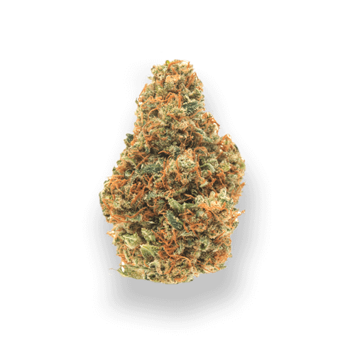 acheter de l'herbe en ligne edmonton sativa quadzilla livraison de cannabis2 Dispensaire en ligne Black Rabbit Weed | Qu'est-il arrivé à Black Rabbit ?