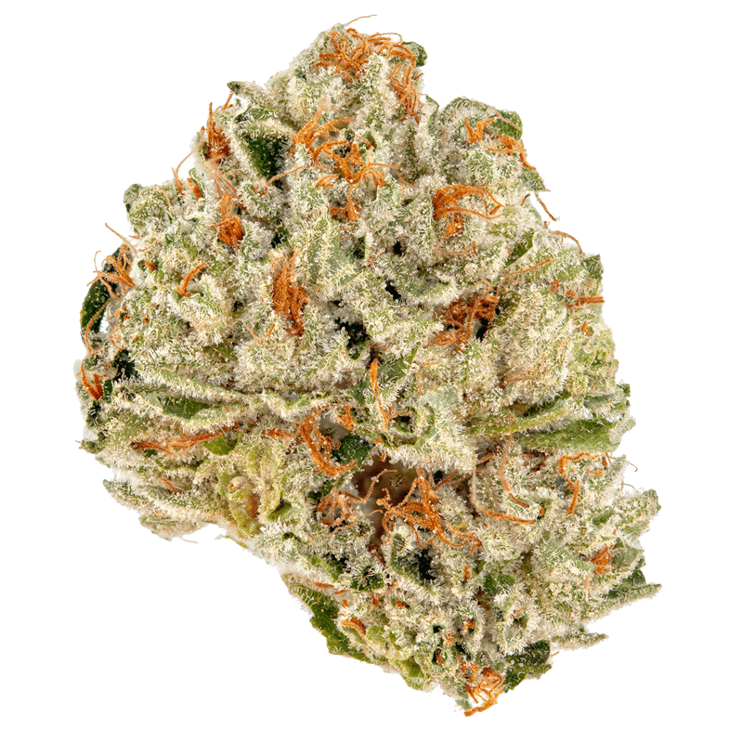 Alien Hallucination Nug 1024x1024 1 Cannabis on Bloor Weed Online Dispensary | What happened to Cannabis on Bloor?