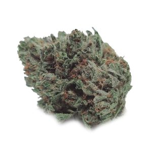 Black Dutch Toronto Weed Delivery - Marijuana Dispensary Canada