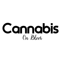 Cannabis On Bloor Logo 250x250 1 Cannabis on Bloor Weed Online Dispensary | What happened to Cannabis on Bloor?
