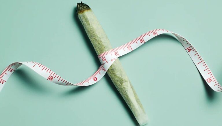 How Marijuana Can Help With Weight Loss - GG4 Weed Delivery Toronto