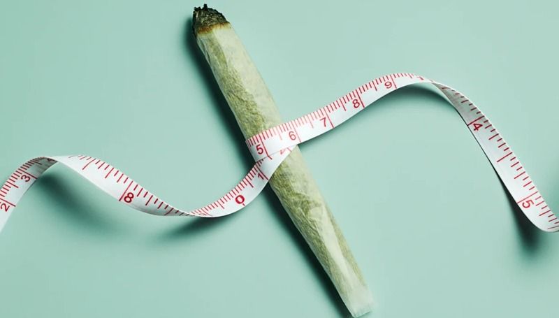 How Marijuana Can Help with Weight Loss 1 How Marijuana Can Help with Weight Loss