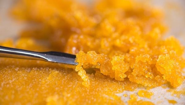 Shatter VS Wax Whats the Difference 1 Shatter VS Wax: What’s the Difference