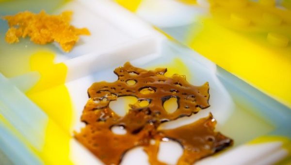 Shatter VS Wax: What’s the Difference 3 Shatter VS Wax Whats the Difference 2 Shatter VS Wax: What’s the Difference