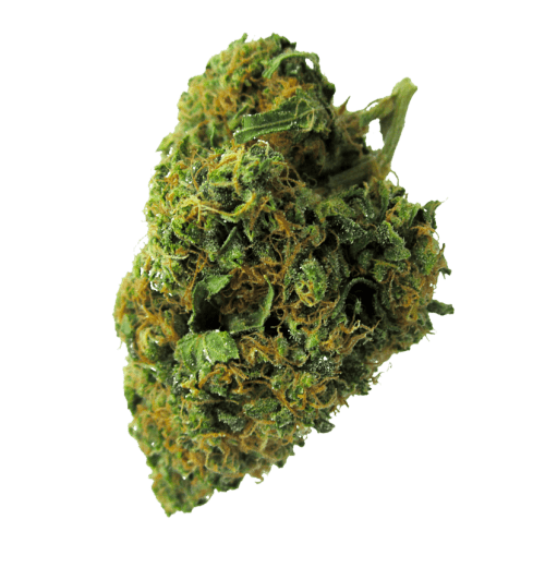 Swazi gold marijuana Nova Cannabis Weed Online Dispensary | What happened to Nova Cannabis?