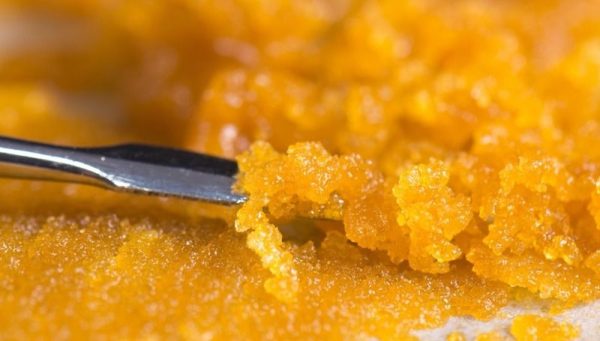 What is Live Resin 1 What is Live Resin?