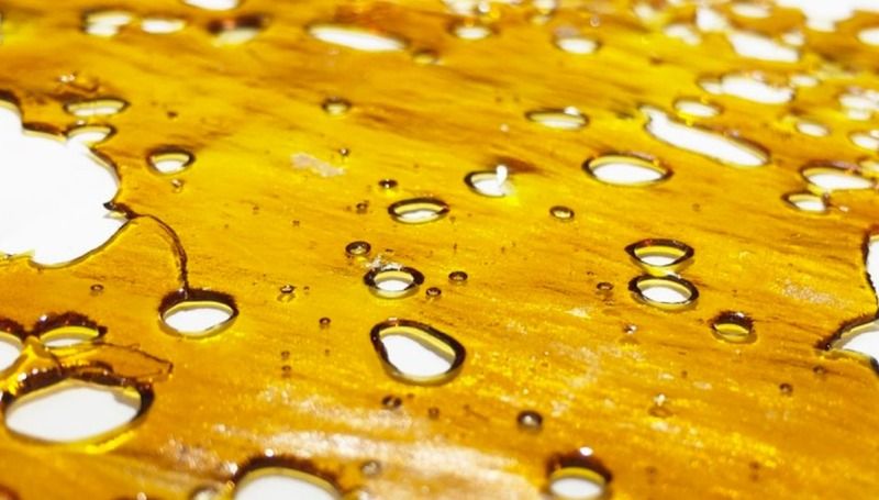 shater 800 445 What are Cannabis Shatter and Oil Extracts?