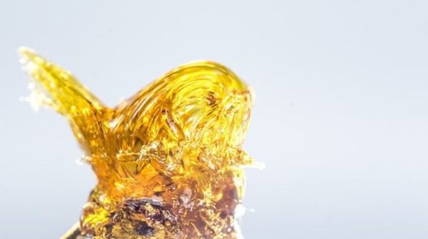 shater2 800 445 What are Cannabis Shatter and Oil Extracts?