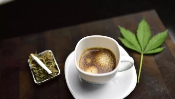 Cannabis vs Caffeine 2 Cannabis vs Caffeine