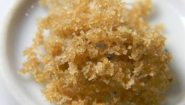 Ice Wax Dabs All You Need to Know 3 Ice Wax Dabs: All You Need to Know