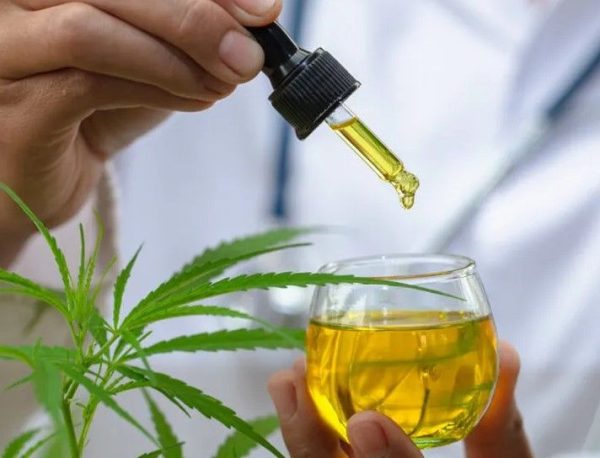 Cannabinoids vs Terpenes 2 Cannabinoids vs. Terpenes: Exploring Similarities and Differences