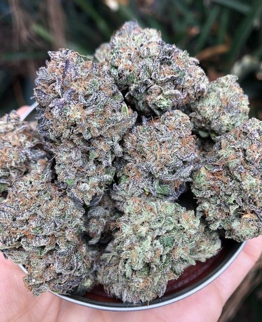 Ice Cream Cake Scarborough Marijuana Dispensary Mississauga Weed