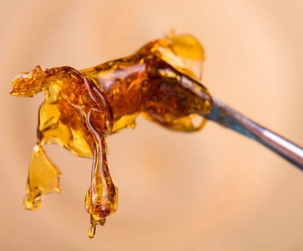 Shatter weed Concentrate 4 Fireside Shatter: Cannabis Shatter