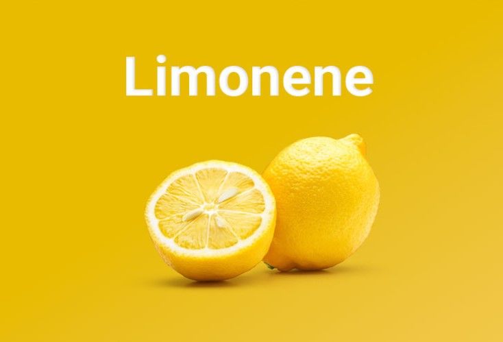 what is limonene everything you need to know 3 What Is Limonene? Everything You Need to Know