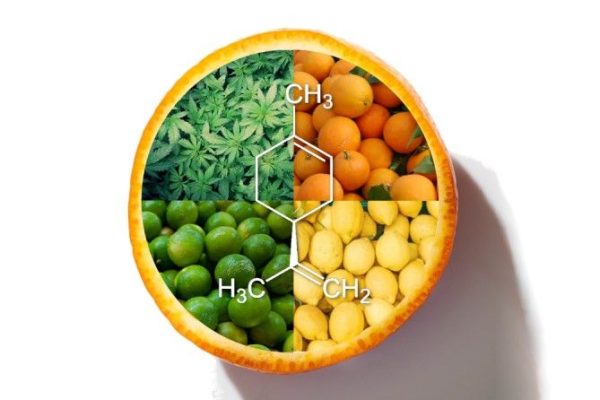 what is limonene everything you need to know What Is Limonene? Everything You Need to Know