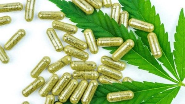 CBD Pills CBD Pills Guide