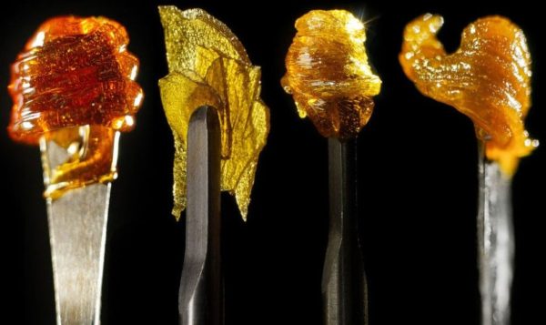 cannabis concentrates complete guide 4 Cannabis Concentrates Complete Guide