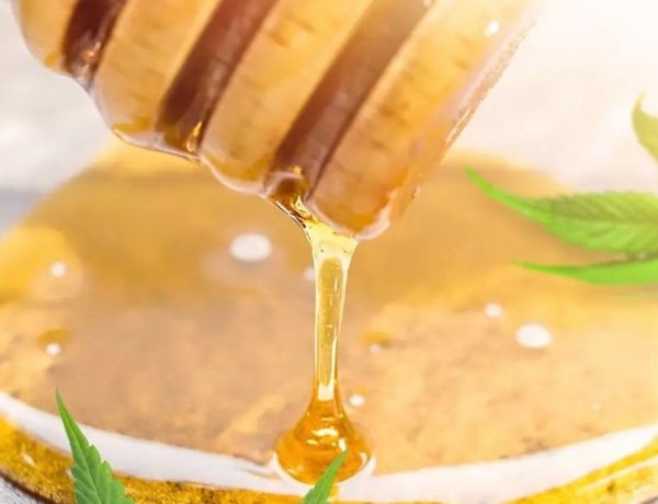 cbd honey 6 What Is CBD Honey?