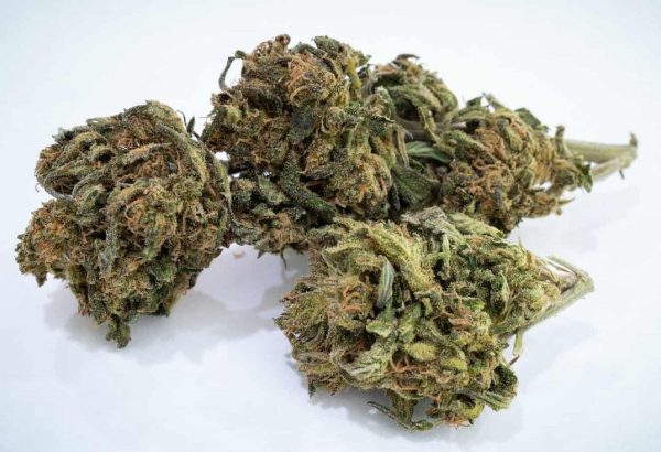 kandy kush strain review 6 Kandy Kush Strain Review