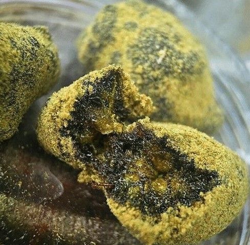 moonrock weed 16 Moon Rock Weed: What It Is, How It Is Prepared and What Effects It Produces