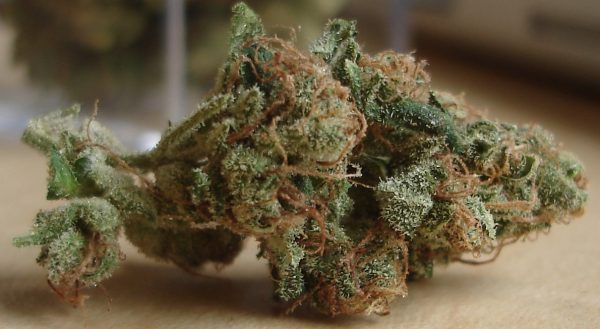 sour diesel strain Sour Diesel Strain Review