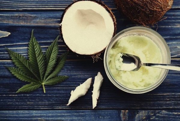 the benefits of cannabis coconut oil how to easily make it 3 The Benefits of Cannabis Coconut Oil & How to Easily Make It