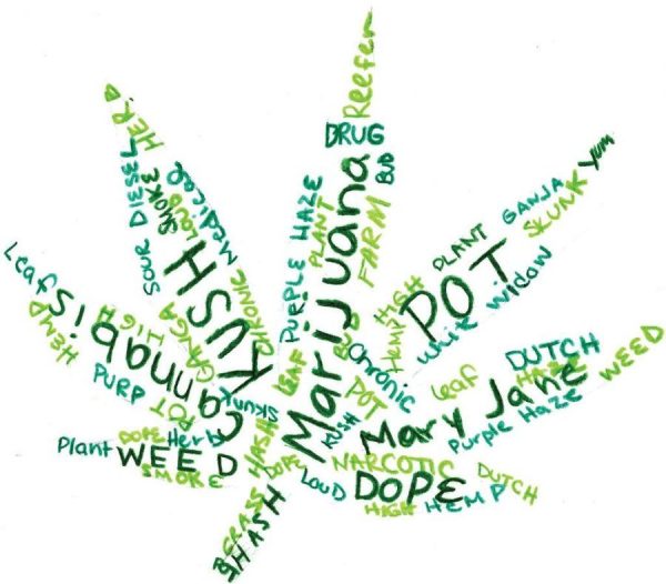 weed terms cannabis vocabulary Weed Terms: Cannabis Vocabulary