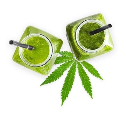 bhang 7 Bhang Health Benefits