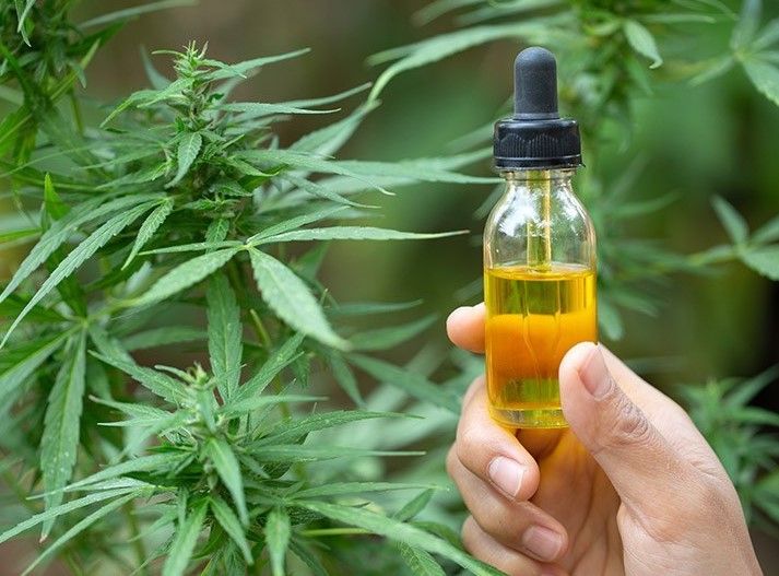 cbd oil 07 A Beginner's Guide To CBD Oil: What It Is and How To Use It