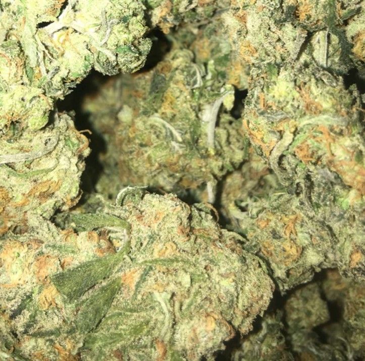 fruity pebbles weed strain review 2 Frooty Pebbles Weed Strain Review