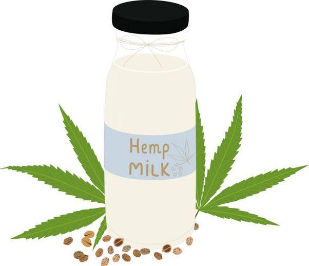 hemp milk nutrition facts and health benefits 11 Hemp Milk Nutrition Facts and Health Benefits