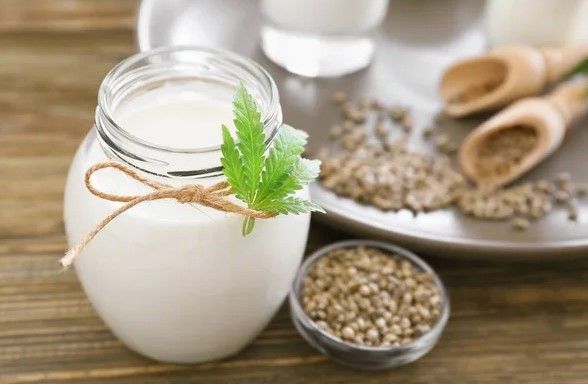 hemp milk nutrition facts and health benefits 2 Hemp Milk Nutrition Facts and Health Benefits