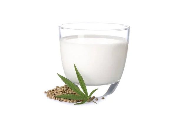 hemp milk nutrition facts and health benefits 5 Hemp Milk Nutrition Facts and Health Benefits