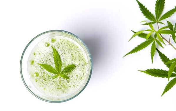 hemp milk nutrition facts and health benefits 8 Hemp Milk Nutrition Facts and Health Benefits