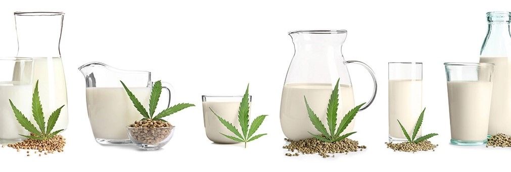 hemp milk nutrition facts and health benefits 9 Hemp Milk Nutrition Facts and Health Benefits