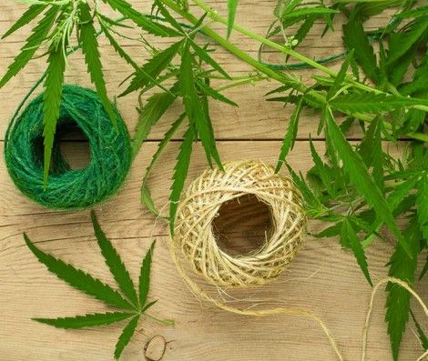 hemp wick cannabis 13 What is Hemp Wick - And How to Use It