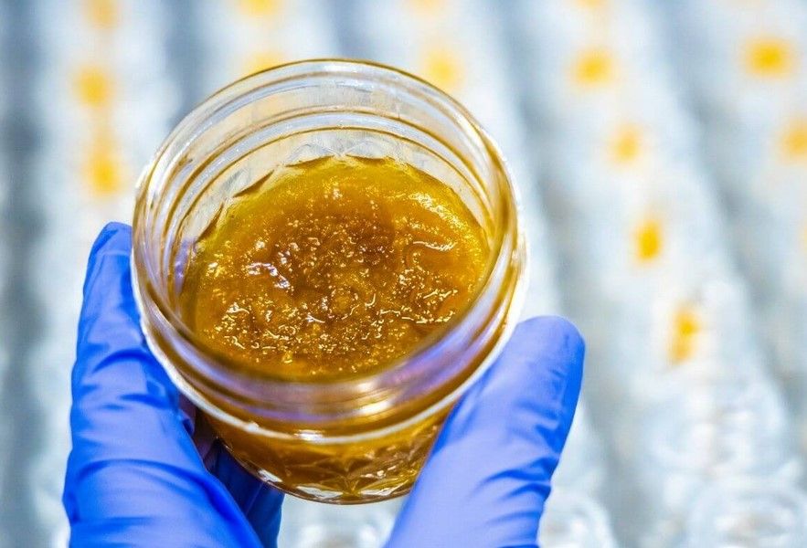 live resin the complete guide 6 Live Resin: The Complete Guide