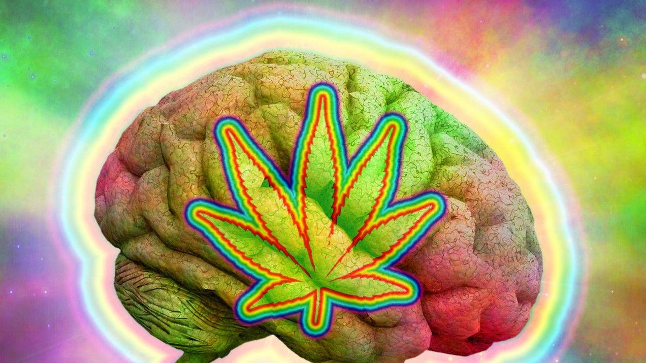 the stages of being high 41 Cannabis Effects Guide